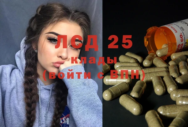 шишки Балахна