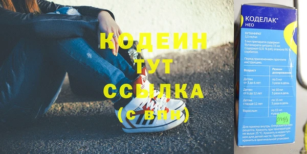 шишки Балахна