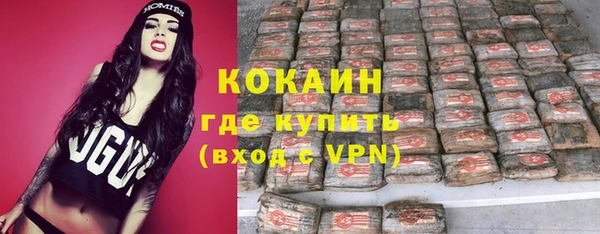 шишки Балахна